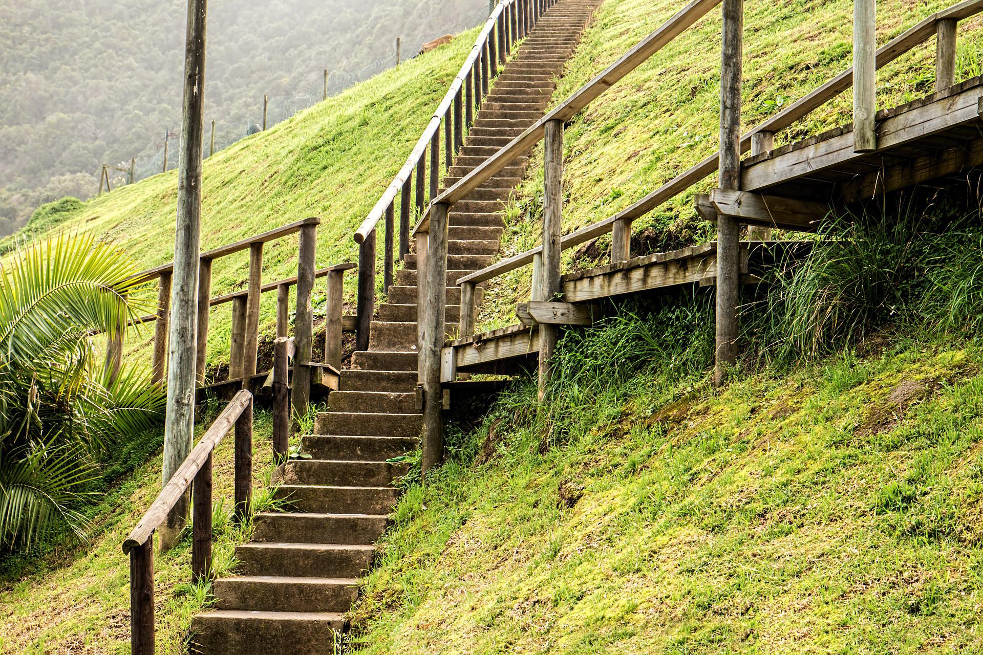 blickwechsel systemische beratung blick auf erste mögliche schritte treppe natur