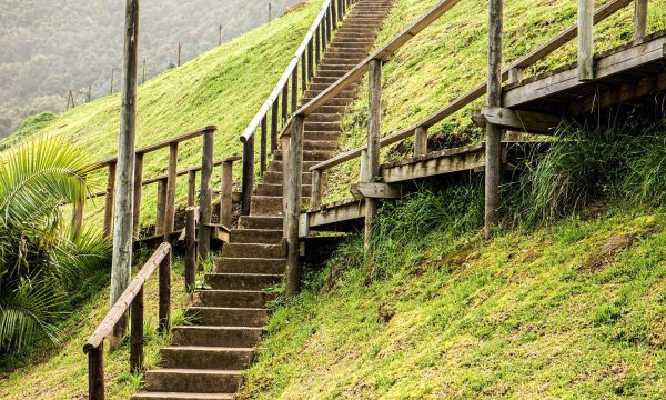blickwechsel systemische beratung blick auf erste mögliche schritte treppe natur